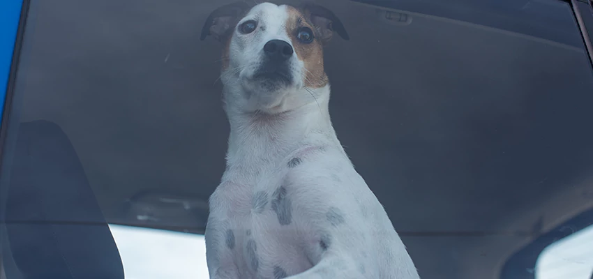 Car Lockout Solutions in Fowler, California